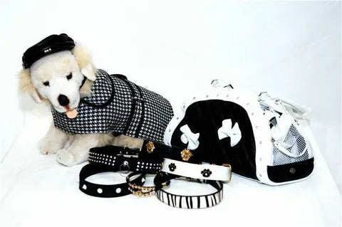 Pet Fashion & Accessories