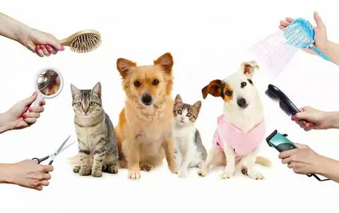 Pet grooming essentials